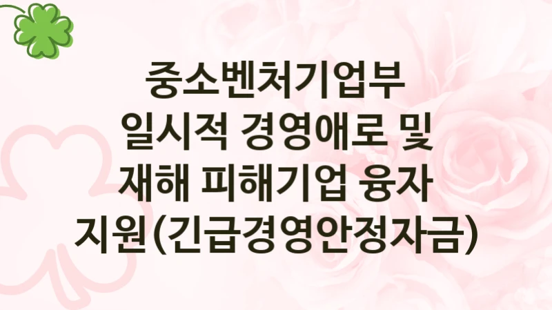 중소벤처기업부
일시적 경영애로 및 재해 피해기업 융자 지원(긴급경영안정자금)