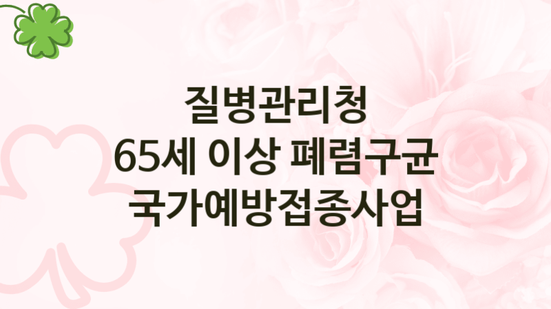 질병관리청
65세 이상 폐렴구균 국가예방접종사업