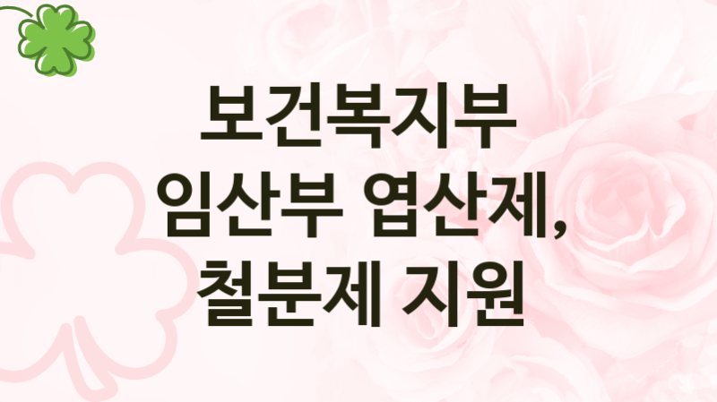 보건복지부 복지정책, 임산부 엽산제, 철분제 지원, 신청방법과 구비서류