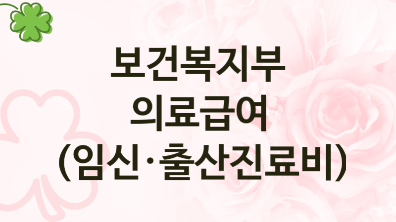 “의료급여 (임신·출산진료비)” 보건복지부 복지지원 혜택 – 자격 조건과 구비 서류