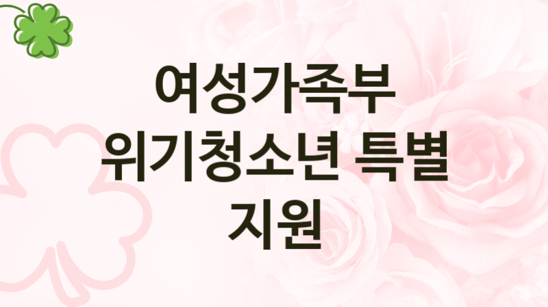 여성가족부
위기청소년 특별 지원