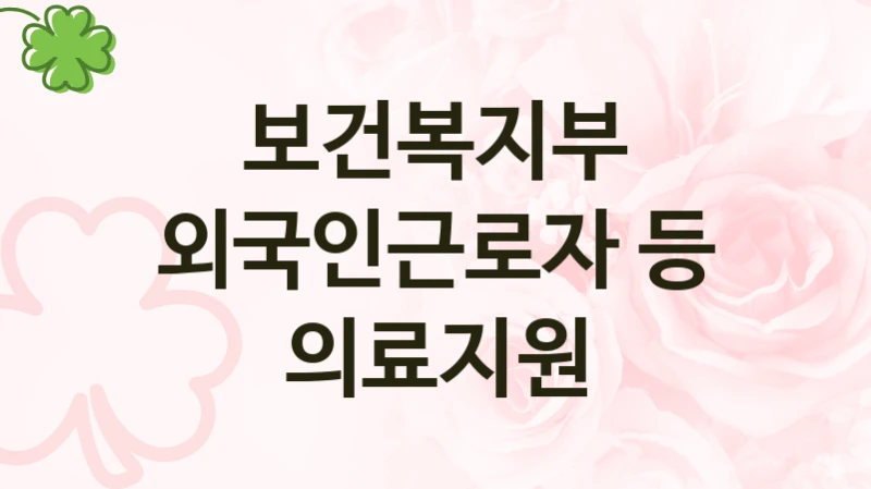 보건복지부 사회 복지 혜택 “외국인근로자 등 의료지원” – 접수 방법 및 지원 한도