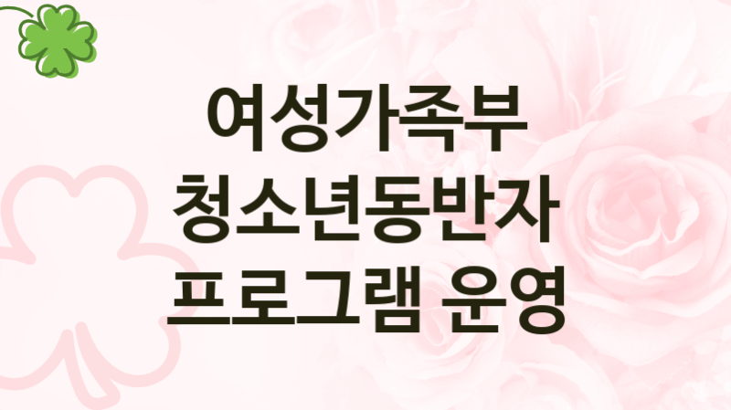 여성가족부
청소년동반자 프로그램 운영