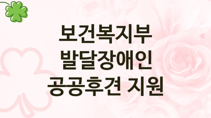 보건복지부, 발달장애인 공공후견 지원 지원 정책정리, 신청 방법과 자격 조건