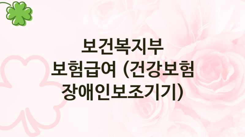 보건복지부, 보험급여 (건강보험 장애인보조기기) 지원 정책정리, 신청 구비서류와 일정