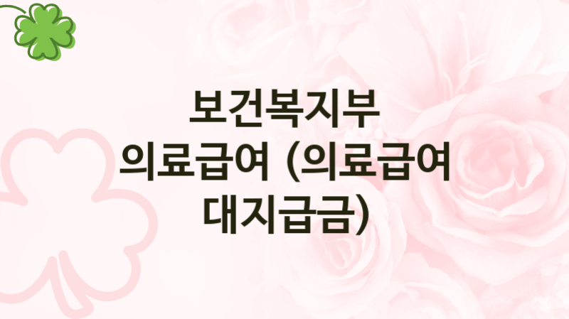보건복지부 “의료급여 (의료급여 대지급금)” 복지 지원혜택 – 신청조건과 자격조건