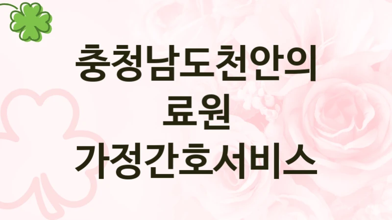 충청남도천안의료원 “가정간호서비스” 복지 지원혜택 – 자격 조건과 구비 서류