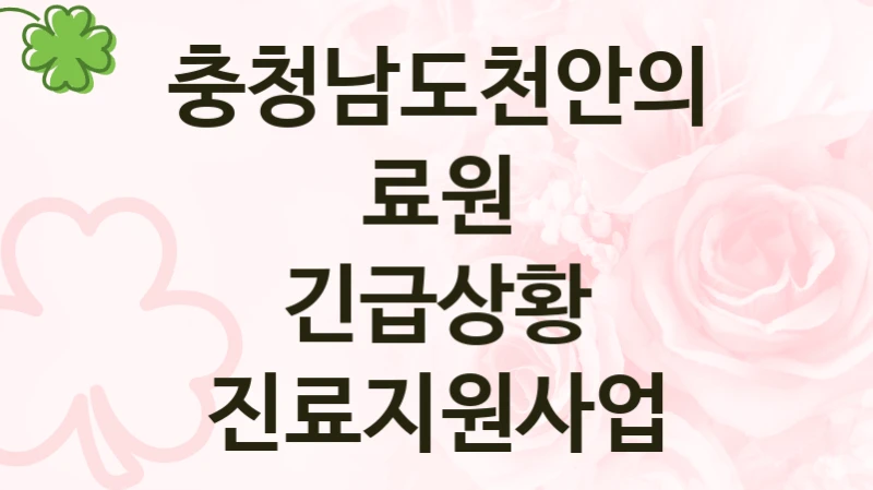 충청남도천안의료원 “긴급상황 진료지원사업” 복지 지원혜택 – 신청 조건과 자격 조건