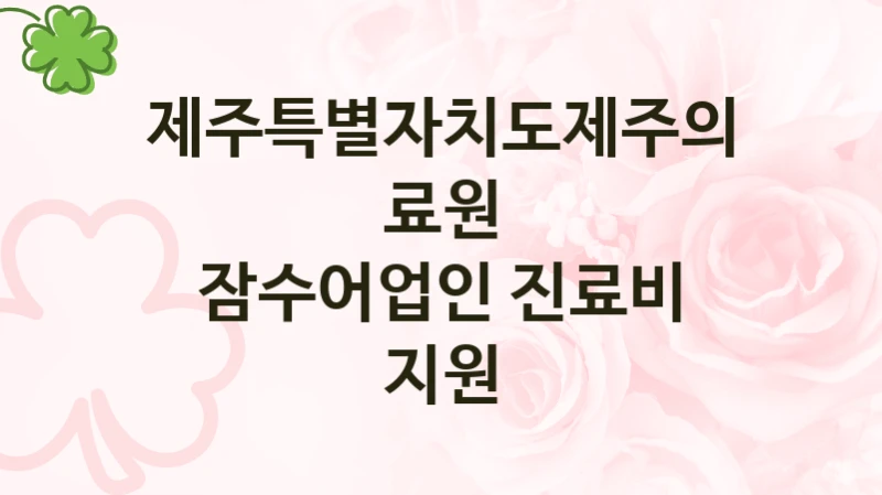 국가 복지 정책 “잠수어업인 진료비 지원” 신청 대상 및 자격 조건 – 제주특별자치도제주의료원