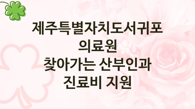 제주특별자치도서귀포의료원, 찾아가는 산부인과 진료비 지원 지원 정책정리, 신청 방법과 자격 조건