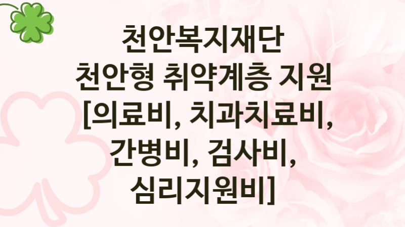 천안복지재단 정책 “천안형 취약계층 지원 [의료비, 치과치료비, 간병비, 검사비, 심리지원비]” 서비스 관리부서 -신청 방법